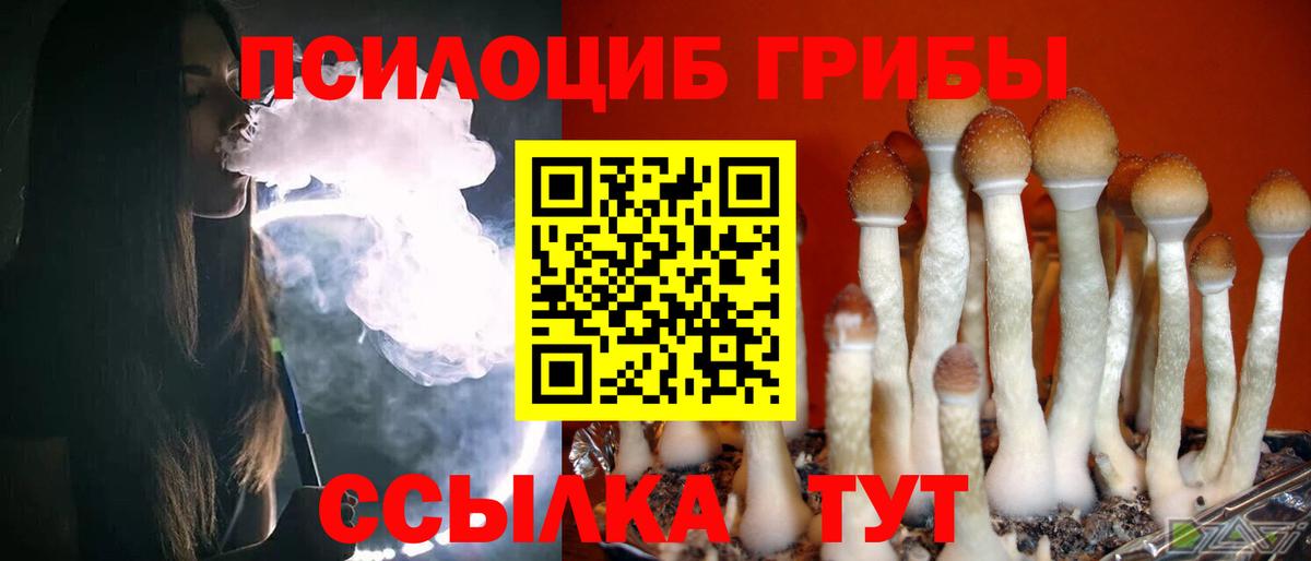 Псилоцибиновые грибы MAGIC MUSHROOMS  Вход с VPN  Галлюциногенные грибы ЛСД  Тайшет 